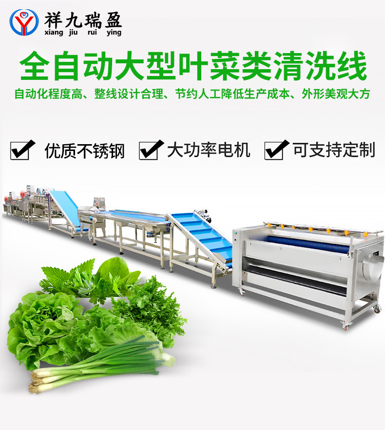 大型葉菜類清洗線生產(chǎn)流程與配套設(shè)備，你知道有多少？