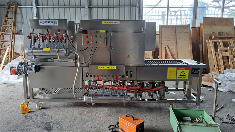 豬腳牛蹄自動(dòng)燎燒絨毛機(jī)，多爐頭、大流量的安全管家 